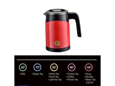 Electric Kettle Y6237E