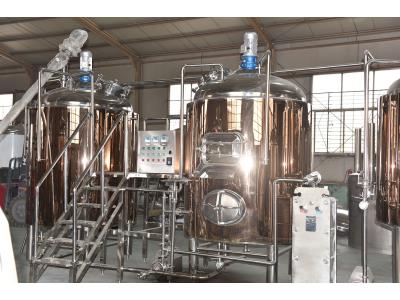 200L craft beer brewery equipment for sale used in brewpub restaurant microbrewery