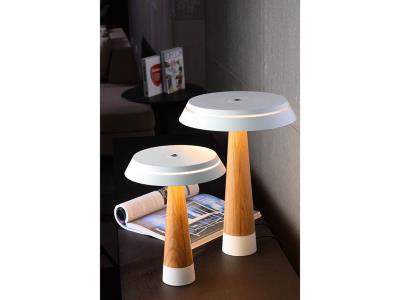 Modern Style Residential Home Bedroom Living Room Dimmable Table lamp