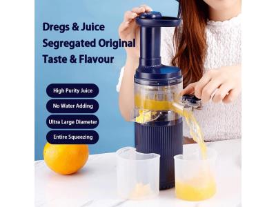 60W Low Speed Mini Fruit Masticating Electric Slow Juicer