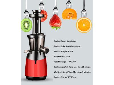 Mini Cold Press Slow Juicer Rechargeable Electric Juice Extractor 