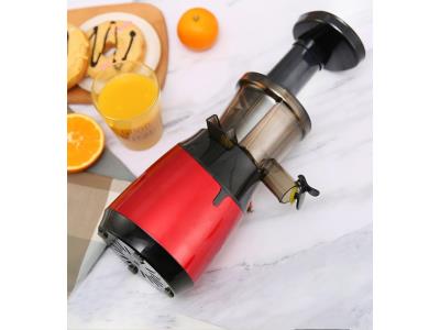 Mini Cold Press Slow Juicer Rechargeable Electric Juice Extractor 