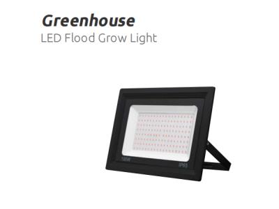 LED Flood Grow Light