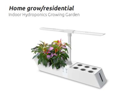 Indoor Hydroponics Growing Garden