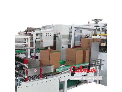 Lined Carton Bag in Box Forming Line - Carton Erector and Liner Placer