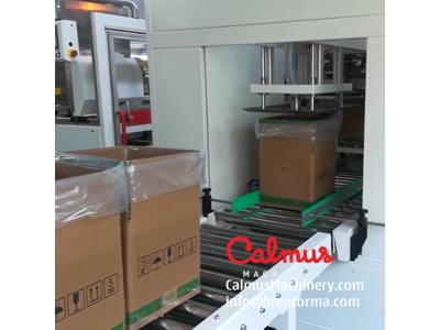 Lined Carton Bag in Box Forming Line - Carton Erector and Liner Placer