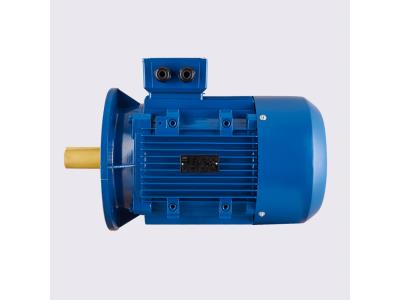 YE2 series IEC B5 mounted three phase asynchronous motor