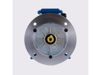 YE2 series IEC B35 mounted three phase asynchronous motor