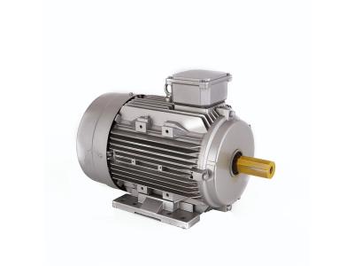 YD series three phase pole-changing two-speed asynchronous motor