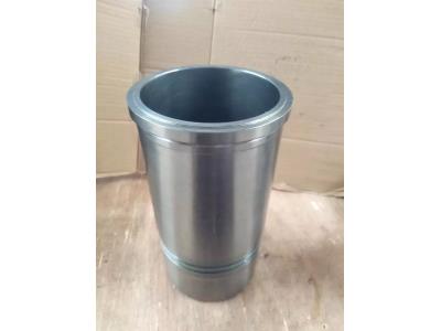 04253771 Cylinder liner for BFM1013