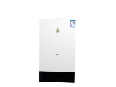 good quality Instant Gas Water Heater Wall Mounted Gas Boiler Spirit series