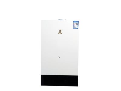 good quality Instant Gas Water Heater Wall Mounted Gas Boiler Spirit series 