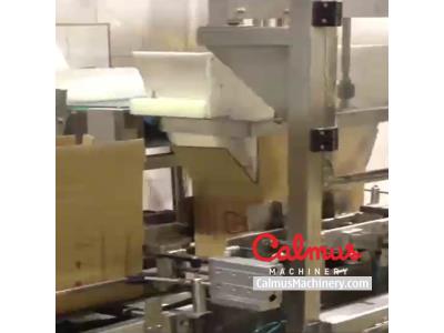 Fully-automatic Bag in Box Filling Packaging Line