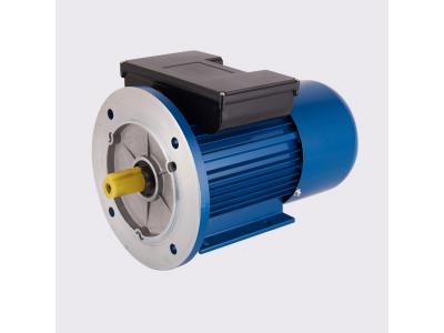 YLD series single phase pole-changing two-speed asynchronous motor