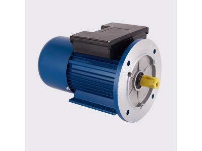 Electric Motor Single Phase AC 0.75kw Single Phase Induction Motor