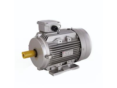 1.5kw Three Phase Asynchrounous Motor Induction AC DC China Cheap Motor Customer Specified