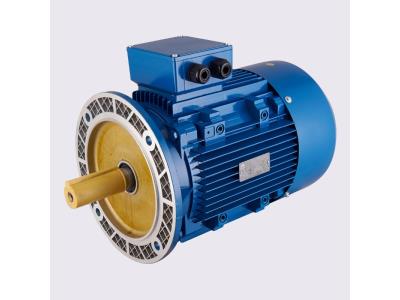 Squirrel Cage Induction Motor 1.5 HP Motor Price 220V AC Motor China Manufacture