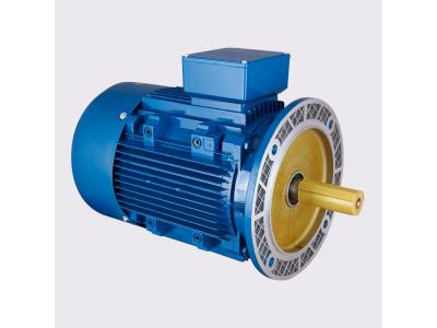 Squirrel Cage Induction Motor 1.5 HP Motor Price 220V AC Motor China Manufacture