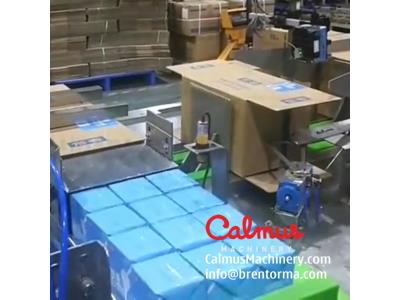 Hi-Speed Cartoning Machine Monoblock Side-Load Case Packer