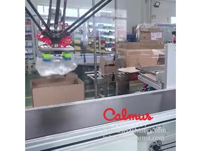 Monoblock Case Packer Cartoning Machine for Packaging Stand Up Pouches