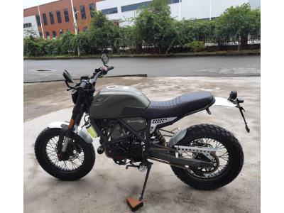 SCRAMBLER 300