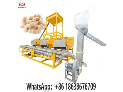 Cashew nut shelling machine