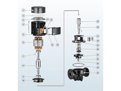 PTD Vertical inline centrifugal pump