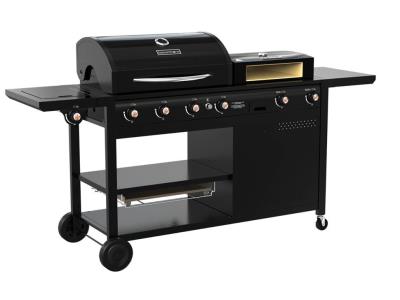 S5-Multifunction Gas Grill