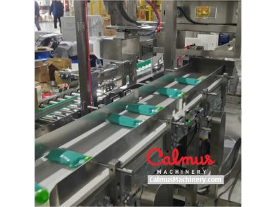 Case Packer Pouch Cartoning Line for Packaging Doypack Bags