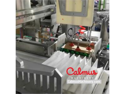 Case Packer Pouch Cartoning Line for Packaging Doypack Bags