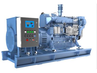 Diesel Natural Gas LPG LNG Generator Set Genset