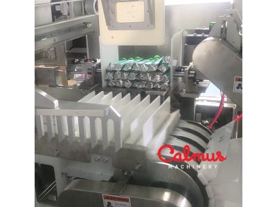 Carton Packaging Machine for Case Packing Doypack Pouches
