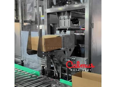 Carton Packaging Machine for Case Packing Doypack Pouches