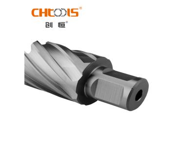 Annular Cutter Drill Bit