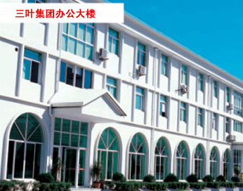 Zhejiang Huangyan Sanye Group Co., Ltd.