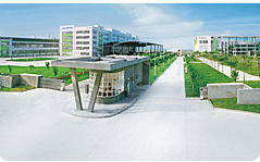 Vatti Corporation Limited