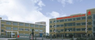NINGBO LION-BALL MOTOR CO., LTD.