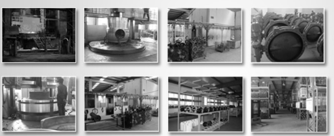 Shenyang Henyi Enterprise Co., Ltd.