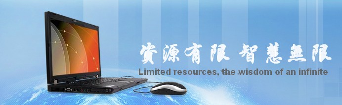 BEIJING PEONY ELECTRONICS GROUP
