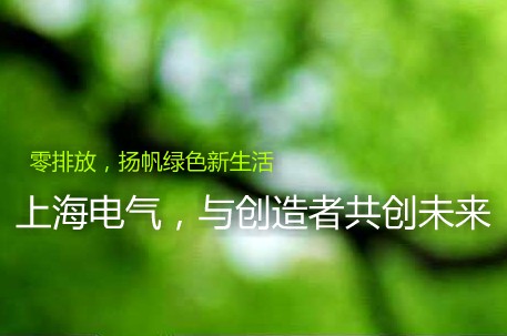 SHANGHAI ELECTRIC POWER TRANSMISSION&DISTRIBUTION ENGINEERING CO.,LTD.