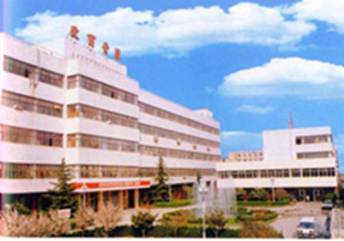 ZHENGZHOU ORIOLE ELECTRIONIC (GROUP) JOINT-STOCK CO., LTD.