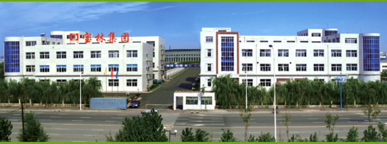 liao ning baolin group energy-saving technology co.,ltd