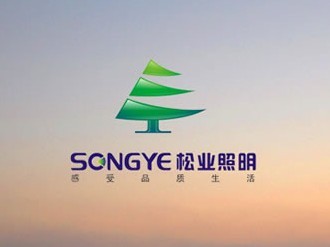 GUANGDONG SONGYE ELECTRICAL APPLIANCE MANUFACTURING CO.,LTD.