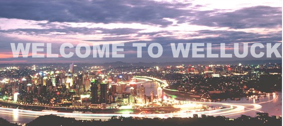 CHONGQING WELLUCK TRADING CO., LTD.