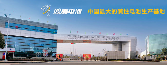 Zhongyin (Ningbo) Battery Co., Ltd.