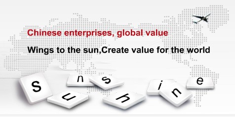 JIANGSU SUNSHINE DONGSHENG I/E CO.,LTD.