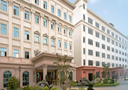 Guangdong Zhicheng Champion Group Co., Ltd.
