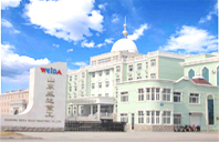 Shandong Weida Heavy Industries Co., Ltd.