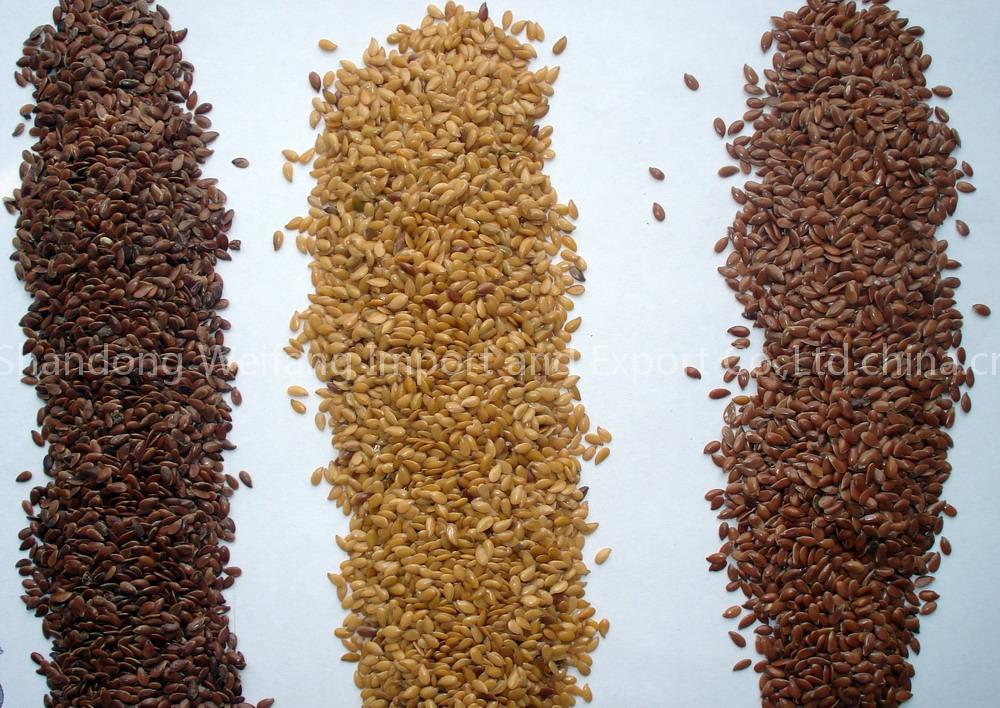 flax seed (linseed) golden yellow color and brown color