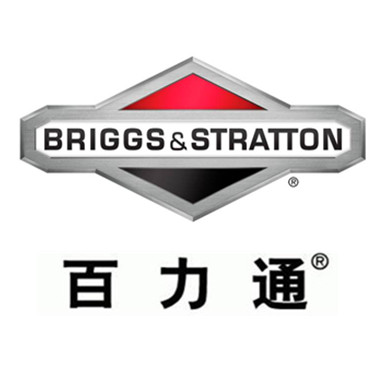 briggs & stratton shanghai international trading co.,ltd